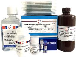 Tris-醋酸-SDS-PAGE電泳試劑盒（變性電泳，含預(yù)制膠）