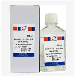 Western一抗二抗去除液（弱堿，溫和型）